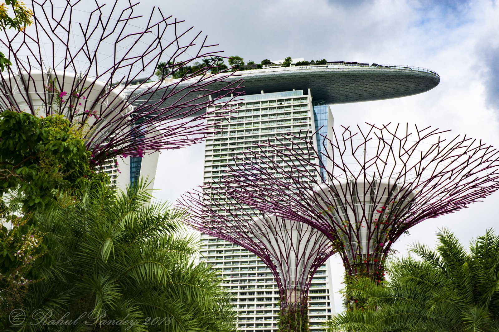 Gardens and Marina Bay Sands