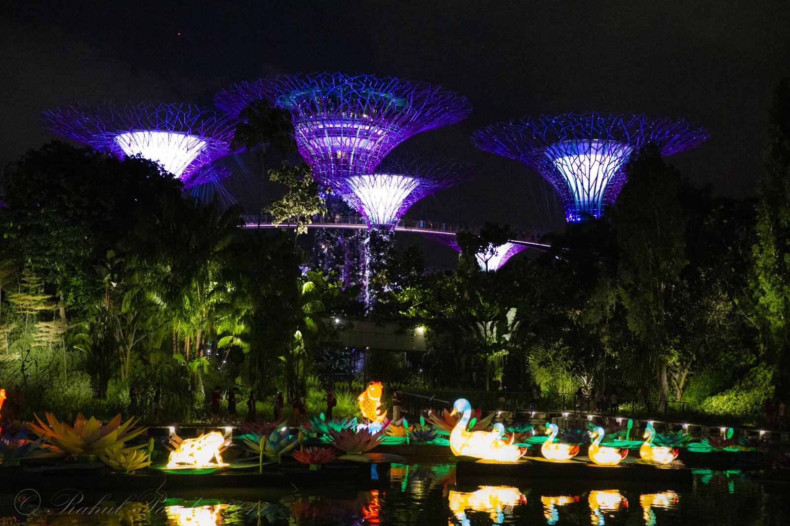 Gardens by Bay Light Show
