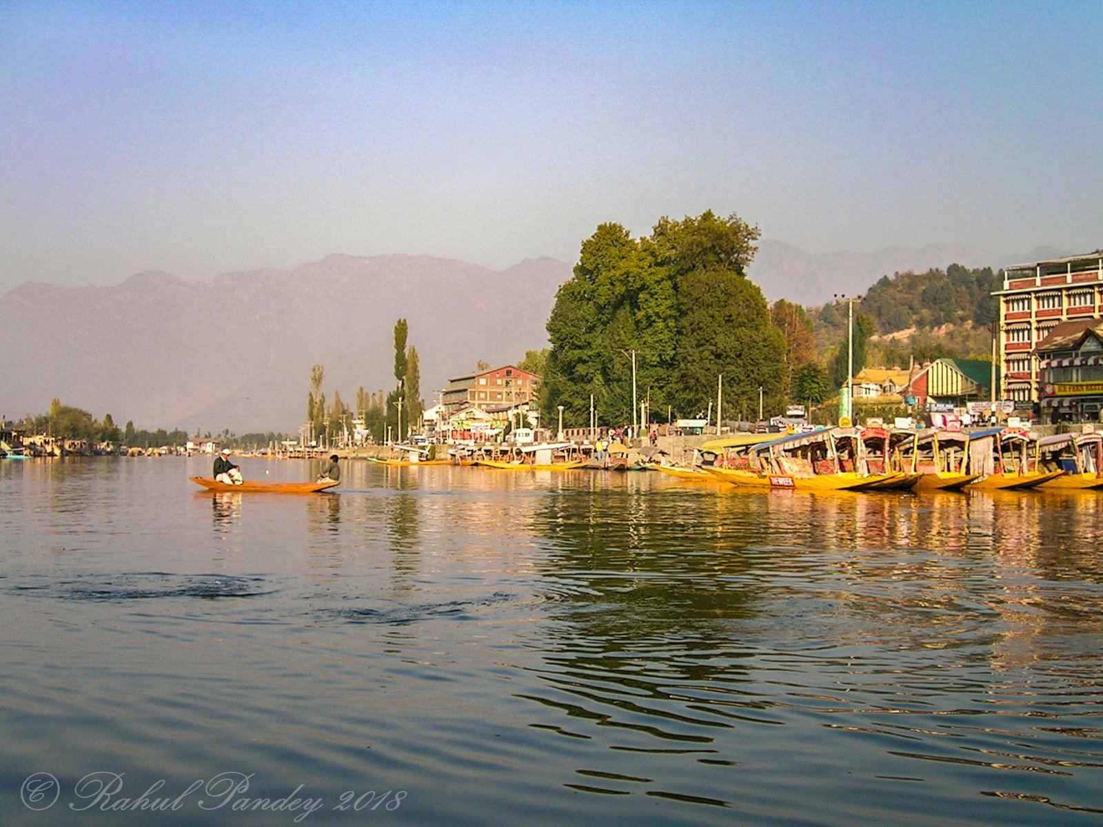 Shikaras (Small boats) Dal Lake, Srinagar