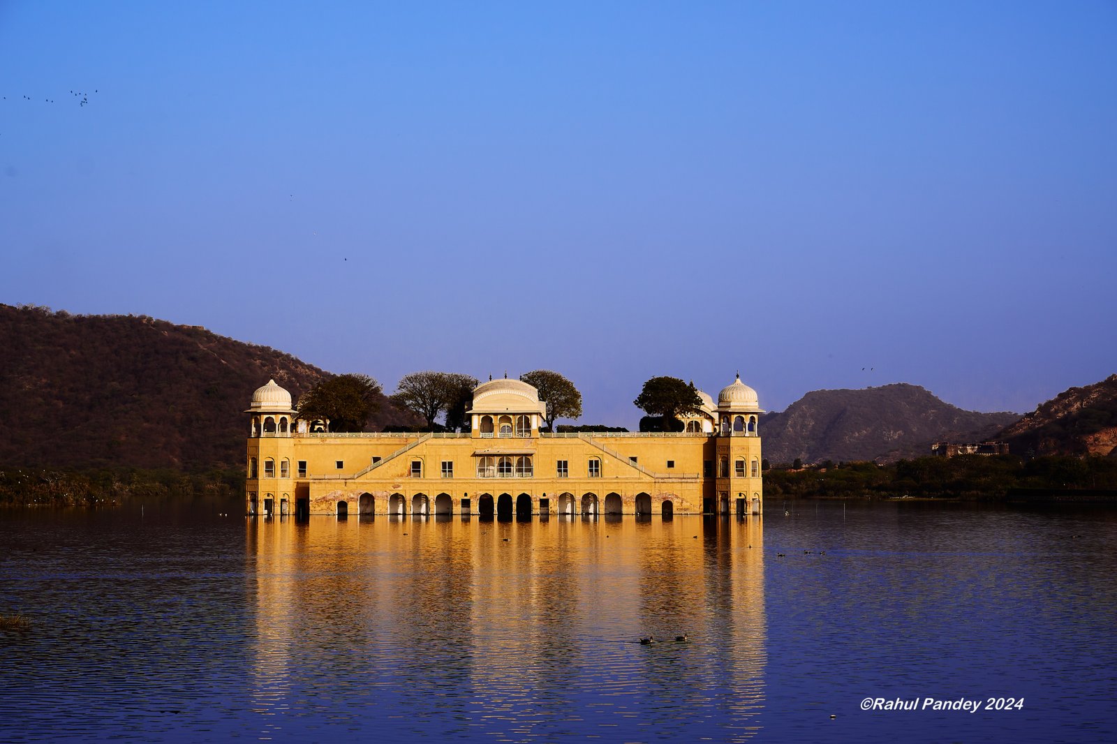 Jal Mahal, Lake Palace, Jaipur