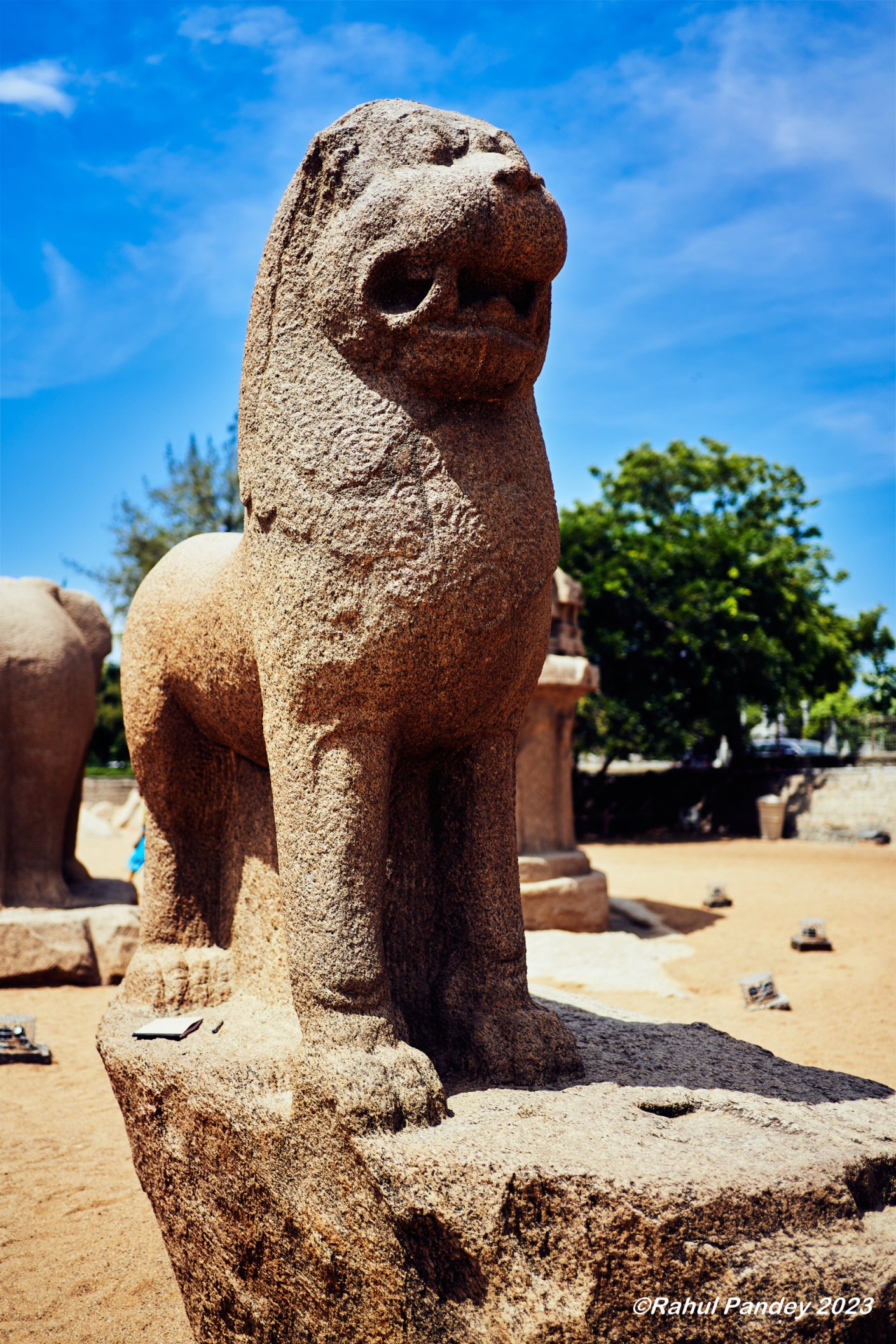 Lion near Draupadi Ratha Temple - Mahabalipuram