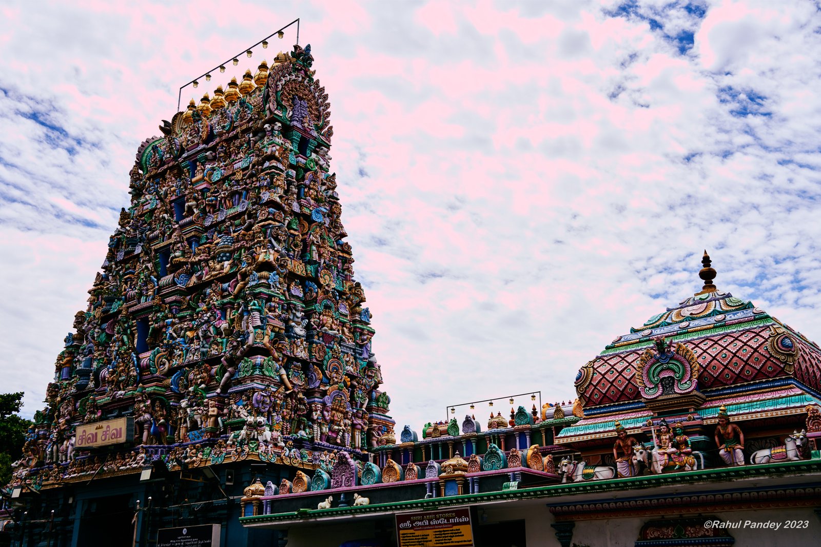 Shri Vedapuriswarar Temple - Pondicherry