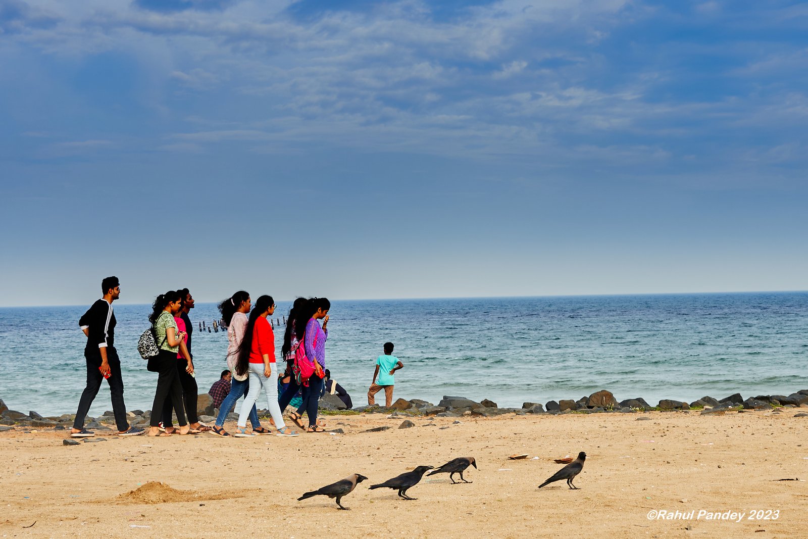Walk with Birds, Promenade Beach, Pondicherry