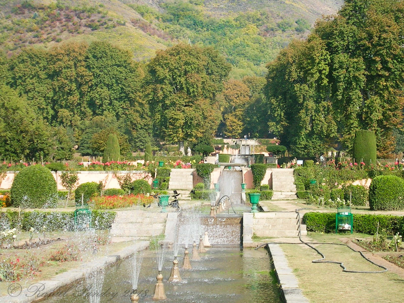 Shalimar Gardens Srinagar